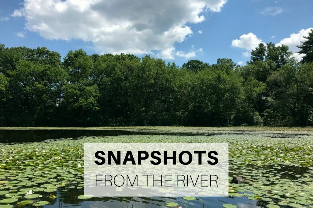 Snapshots from the river