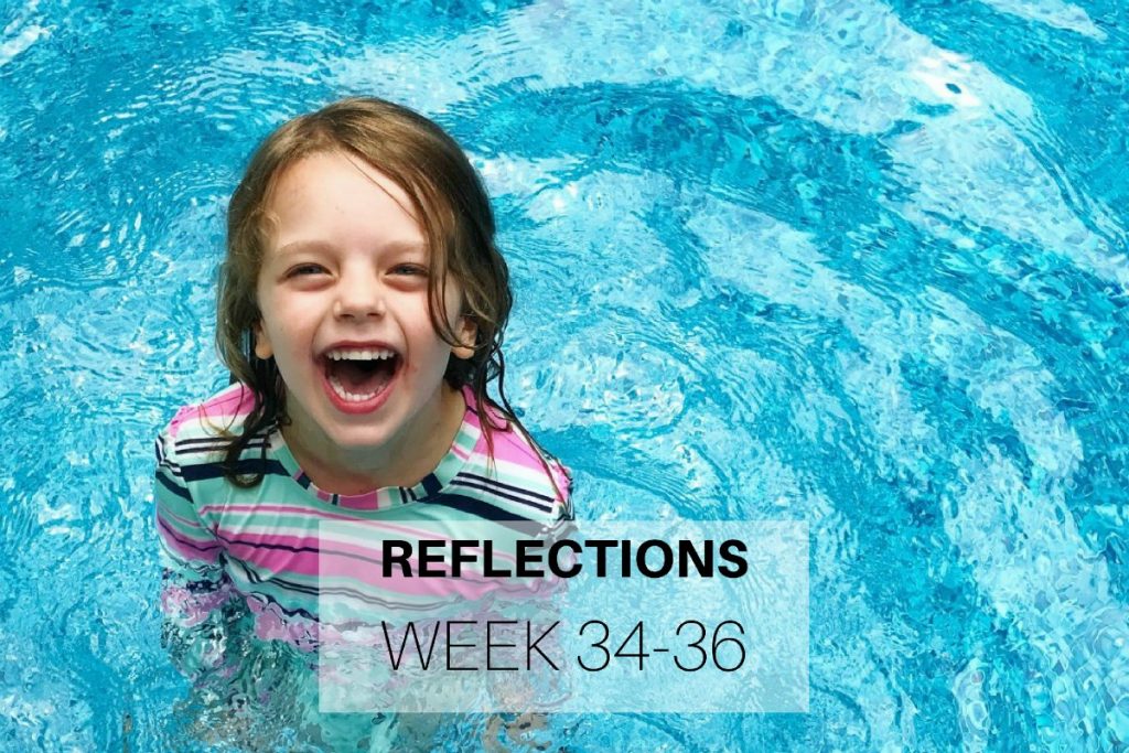 Reflections Week 34-36