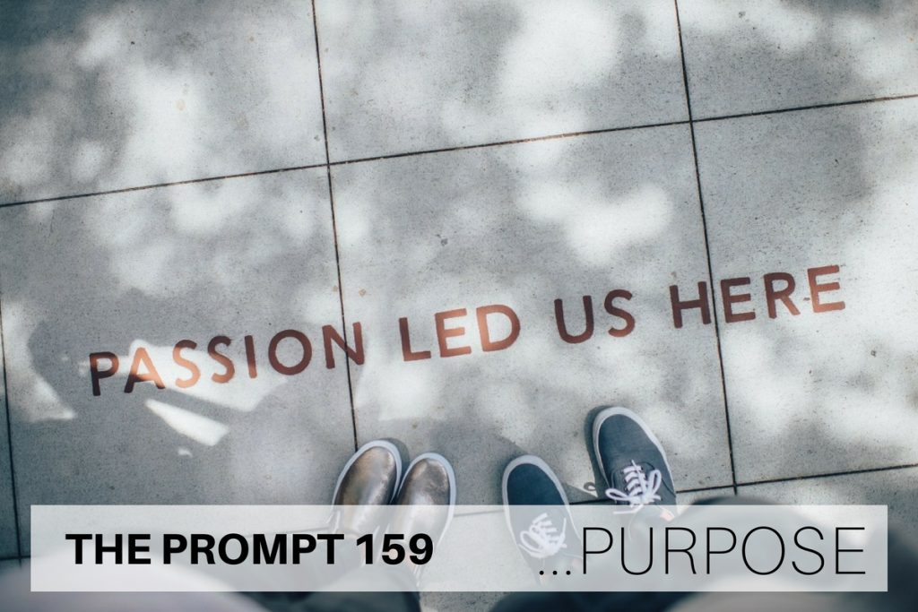 THE PROMPT 159: Purpose