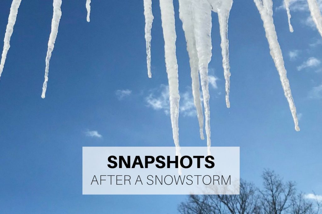 Snapshots after a snowstorm