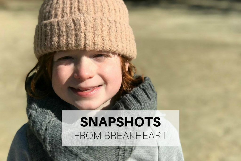 Snapshots from Breakheart Reservation