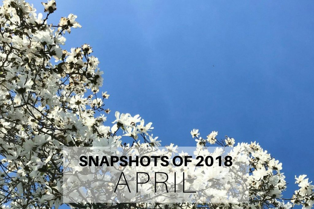 Snapshots of 2018 - April
