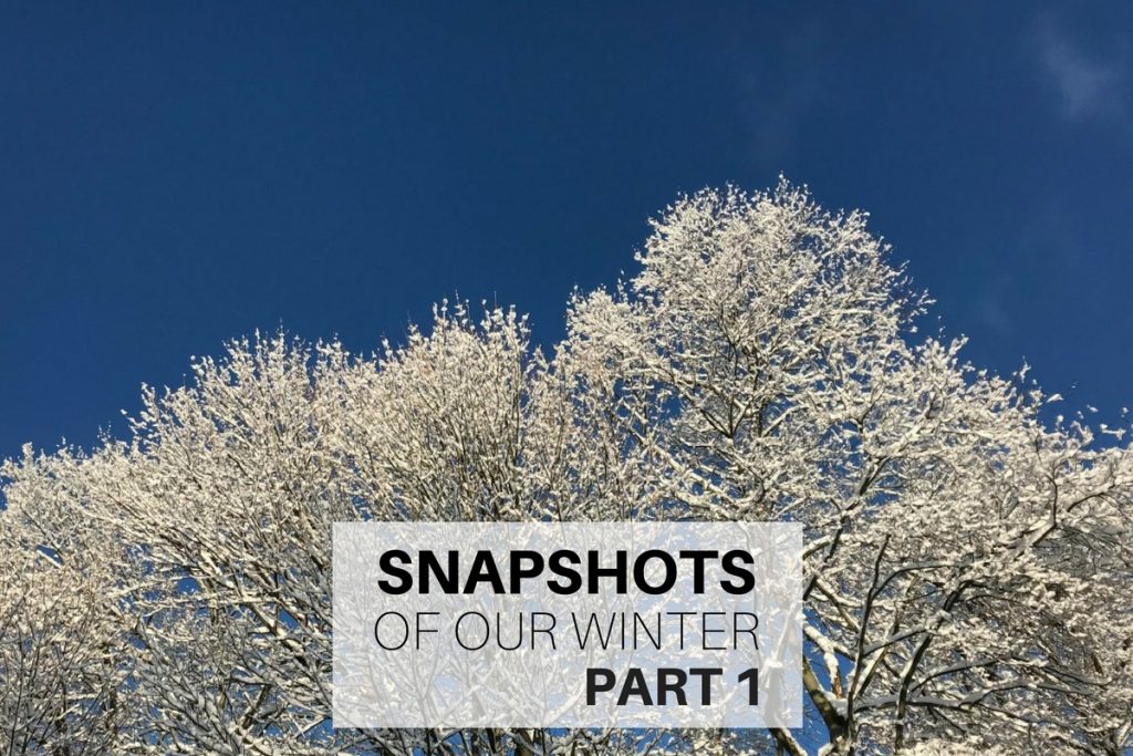 Snapshots of our winter Part 1