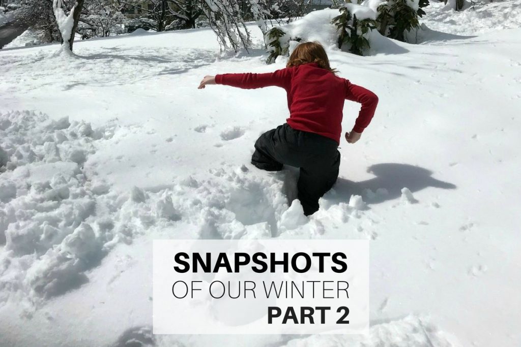 Snapshots of our winter Part 2